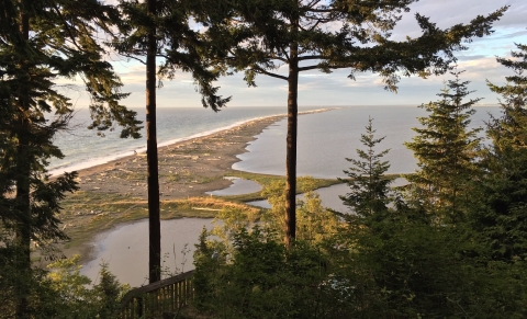A View of the Dungeness Spit from the Upper Overlook