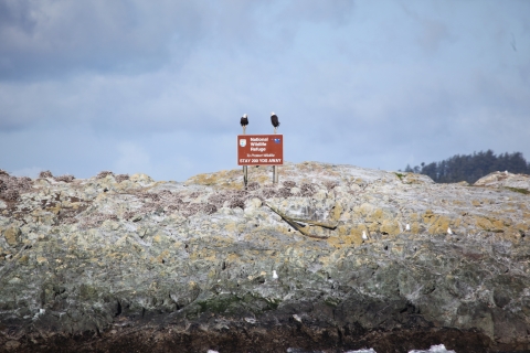 A Pair of Bald Eagles Perches on a Refuge Sign on a Rocky Island