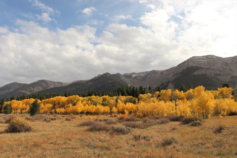 Bright yellow aspens are at the forefront of mountains with a mixture of sun, blue skies, and clouds.