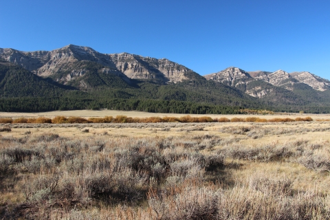 The Centennial Mountains serves as the backdrop under a clear blue sky in the open sage and grasslands as seen from Red Rock Lakes National Wildlife Refuge