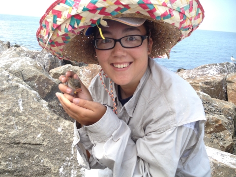 A USFWS intern holds a banded bird on the refuge's Falkner Island Unit, Guilford