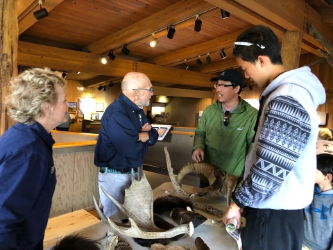 A group of people talking around a table of wildlife props