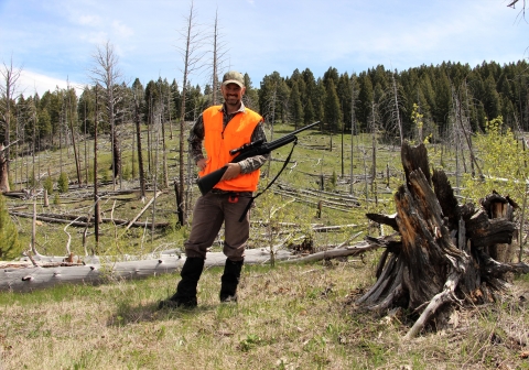 A hunter stands at the edge of the forest wearing bright orange with firearm pointed in a safe direction.