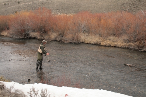 A fisherman uses a fly rod and reel in a creek during an early spring day.