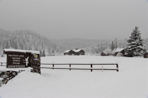 A house, sign, and fence are shown in a gray, wintery, snowy, scene. 