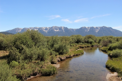 A creek flows through green grass and willows with a mountain backdrop.