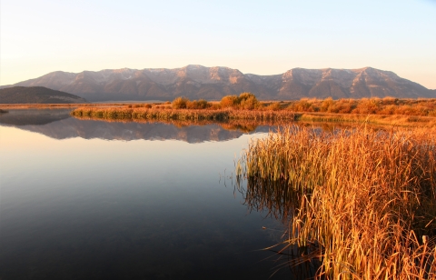 Early sunrise over a calm reflective Widgeon Pond in September as clear skies and prevail and the Centennial Mountains can be seen in the background and reflecting in the water