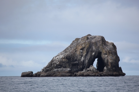 A Rugged Washington Coast Island