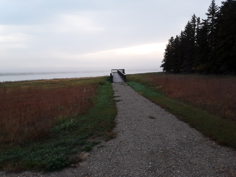 J. Clark Salyer National Wildlife Refuge Observation Tower Trail