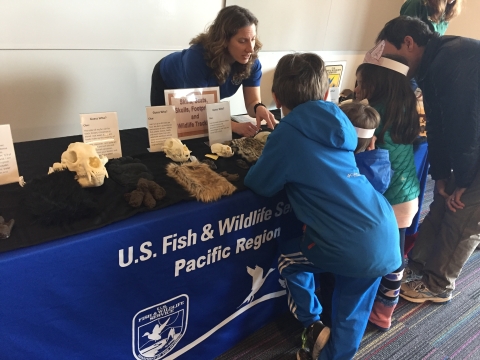 Environmental Education table at the Oregon Zoo