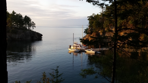 Boats at the Dock in Rolfe Cove on Matia Island