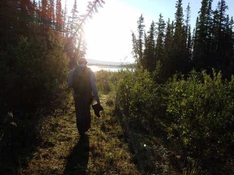 Tetlin National Wildlife Refuge Hiking 