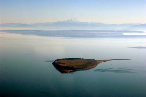 Protection Island with Mount Baker in the Background
