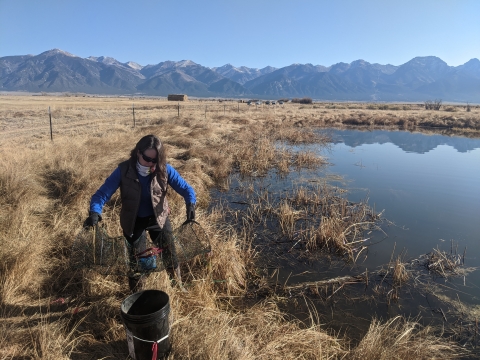 A woman holding a trap net above a bucket in a grassy field next to a pond with mountains in the background