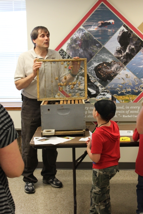 Deputy Project Leader Lorenz Sollmann Explains How a Bee Hive Functions