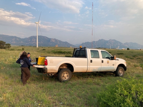 USFWS staff standing by truck tailgate conducting biological research