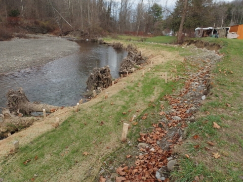 A restored stream bank with root wads and other stabilizing bank features