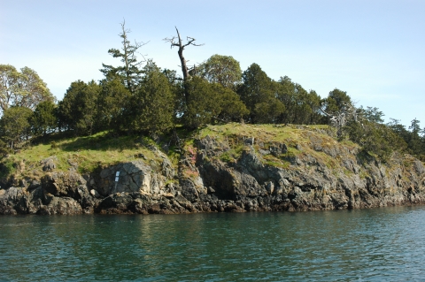 A Close-up Photo of Turn Island 