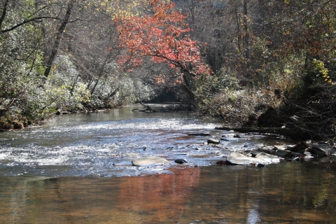 A river with a riffle run habitat and fall foliage along the banks