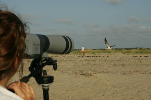 Person on a beach looking through a scope at a bird. Another person is in the distance