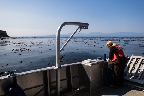 Biologist Sue Thomas Counts Seabirds from the Deck of a Boat Near Smith Island