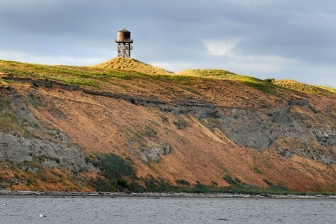Protection Island South Bluffs With Historic Watertower in the Distance