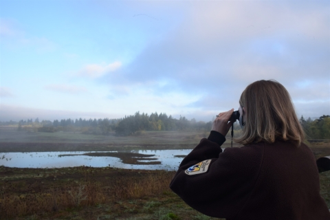 Staff person in brown jacket looks through binoculars out at a wetland filled with water and plants; sky is cloudy with blue skies in the distance