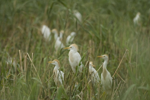 Fort Niobrara NWR