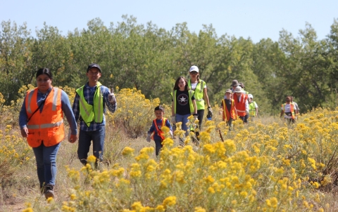 Volunteers walking on the trail next to blooming yellow rubber rabbit brush plants 