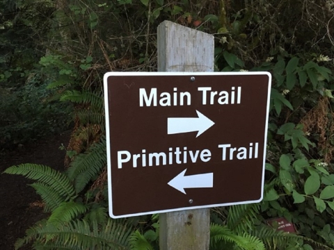 Main Trail, Primitive Trail Sign