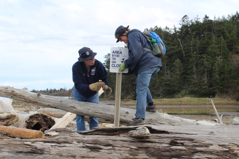 Two Refuge Volunteers Install a Closed Area Sign on Dungeness Spit