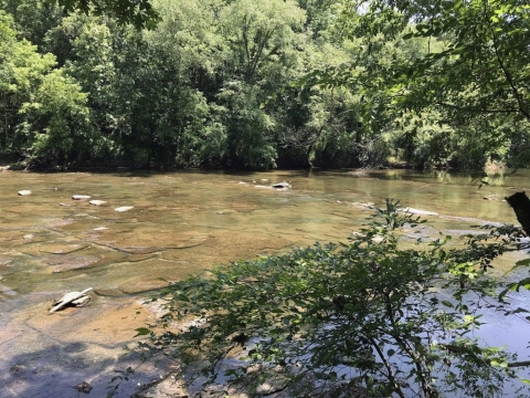 A view of the Cahaba River above Shades Creek.