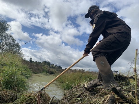 Staff person in brown jacket and knee boots uses tool to clear ditch in wetland; tall grass lines the ditch filled with water and skies are blue with patchy clouds