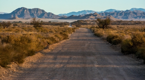 Long dirt road with desert scrub plants on either side of the road, mountains in the distance