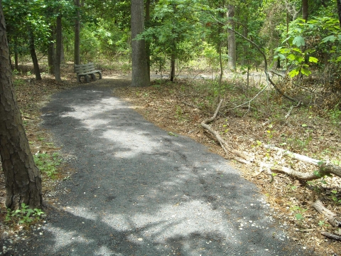 Akers Woodland Trail at Edwin B. Forsythe NWR