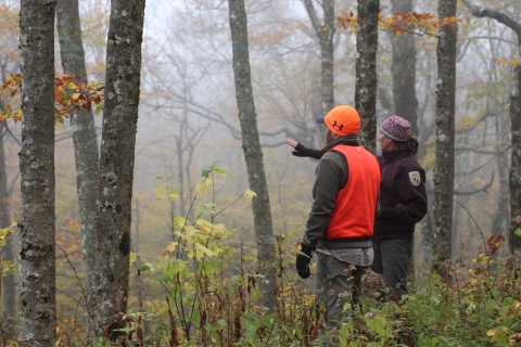 Two biologists look out into small clearing in forested area with fall colors.