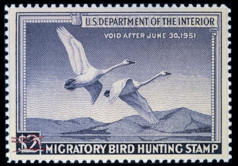 Duck Stamp with two trumpeter swans flying through the sky with mountains seen from a distance