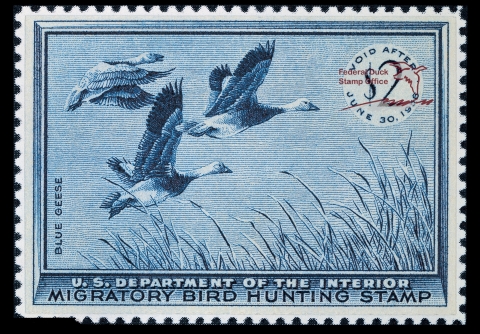 Navy Duck Cloth from Japan with Foreign International Stamps