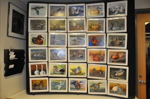 Federal Duck Stamp Art Exhibit