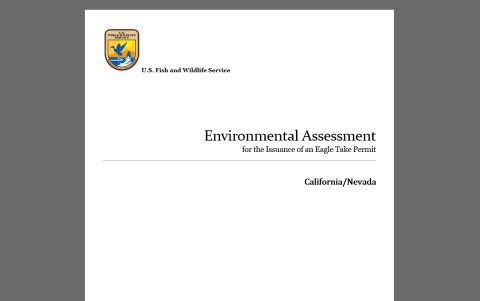 Screenshot of a title page of a generic environmental assessment for issuance of an eagle take permit