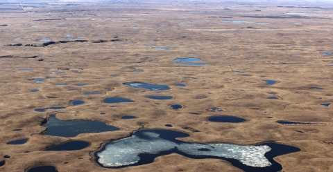 An view of prairie with numerous pothole wetlands taken from an airplane