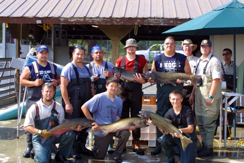 A group of men of varying ages poses, some holding large salmon, all wearing short sleeved shirts and waders.
