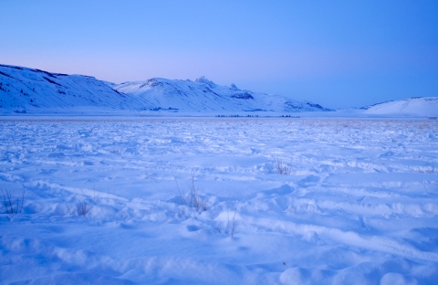 Elk tracks in deep snow during a moody blue sunset with distant mountains.