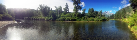 Panoramic view of a river lined with brush and tall leafy and coniferous trees, partly cloudy sky.