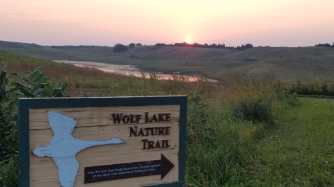 A sign with a flying trumpeter swan reads "Wolf Lake Nature Trail" with an arrow pointing towards a mown path. The sun is just rising above the horizon, casting hues of yellow, pink, and purple over a wetland in the base of a valley.
