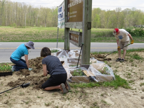 Volunteers planting native wildflowers around entrance sign
