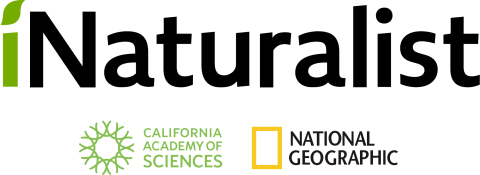 iNaturalist Logo. Also includes logos for California Academy of Sciences and National Geographic