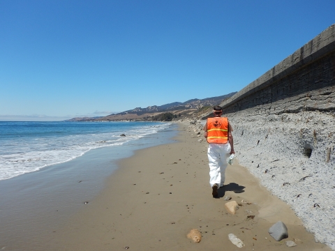 USFWS staff in orange vest walks along beach