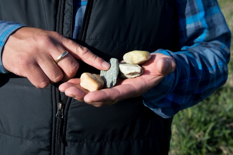 A mans hands hold four small pale rocks.