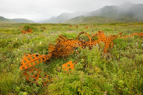 Rusting perforated metal lies crumpled on the green vegetation